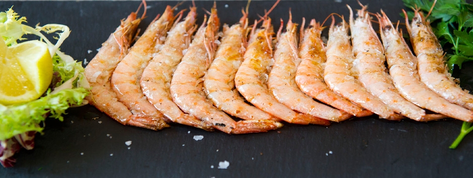 46338gamba.jpg